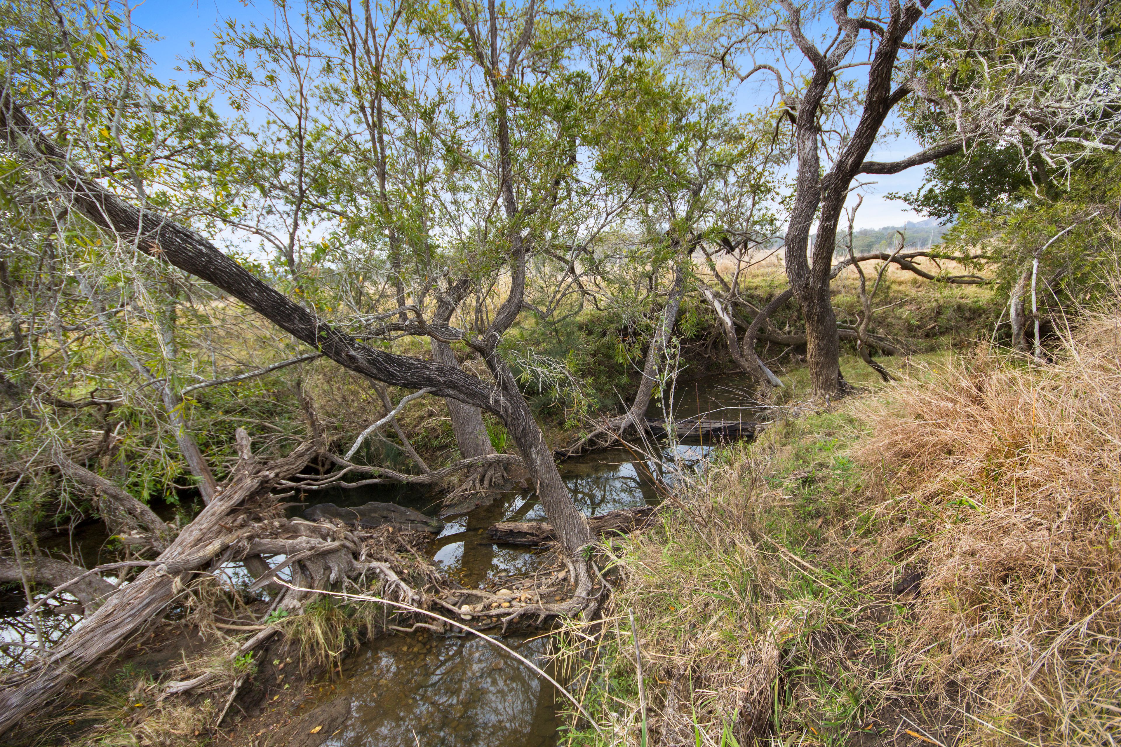 111 Dwyer Ridges Road, Mount Alford, QLD 4310