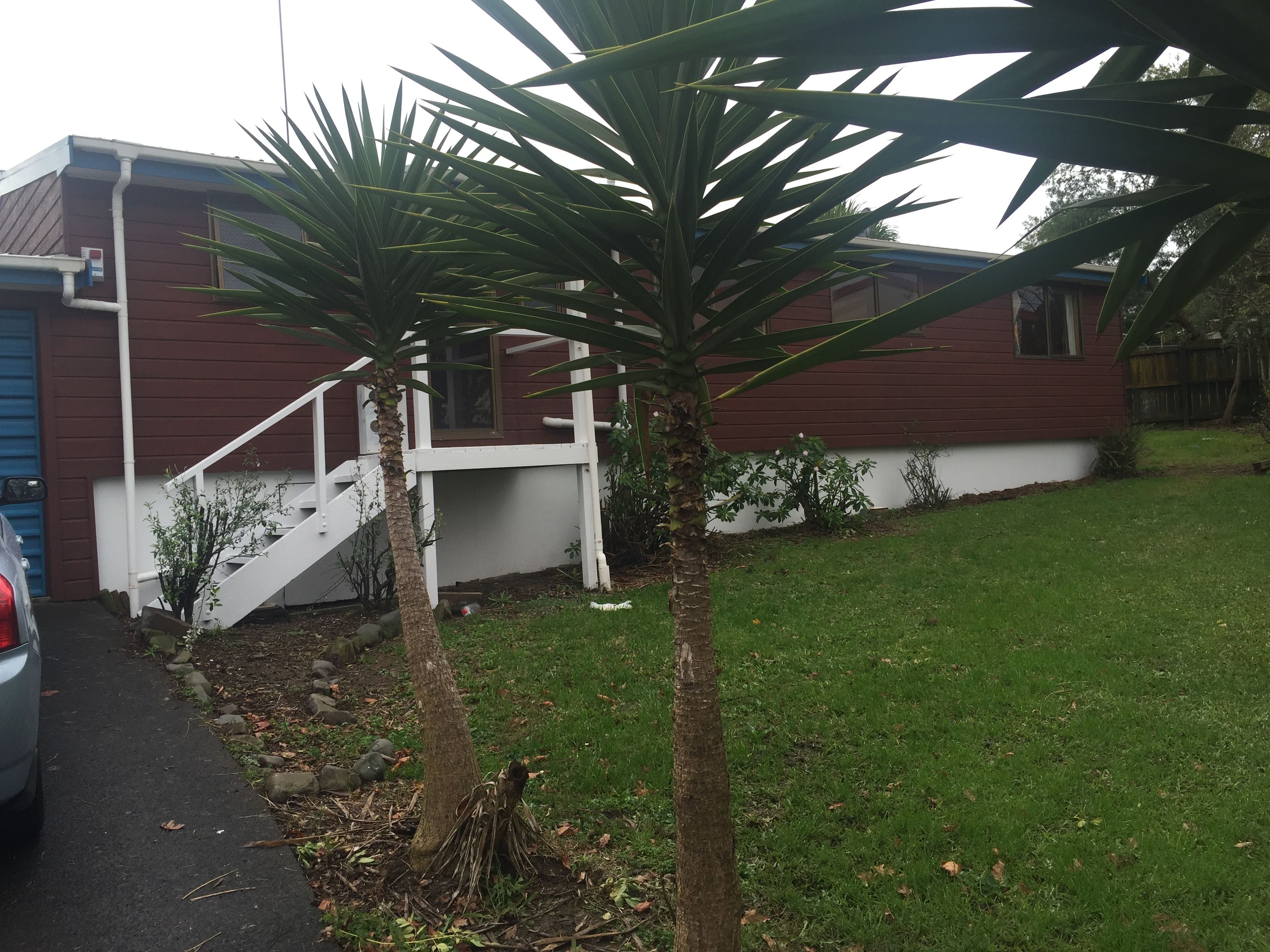 Wattle Downs, Manukau City