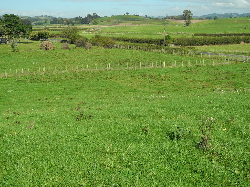 720 Kakepuku Road, Te Awamutu, Waipa District
