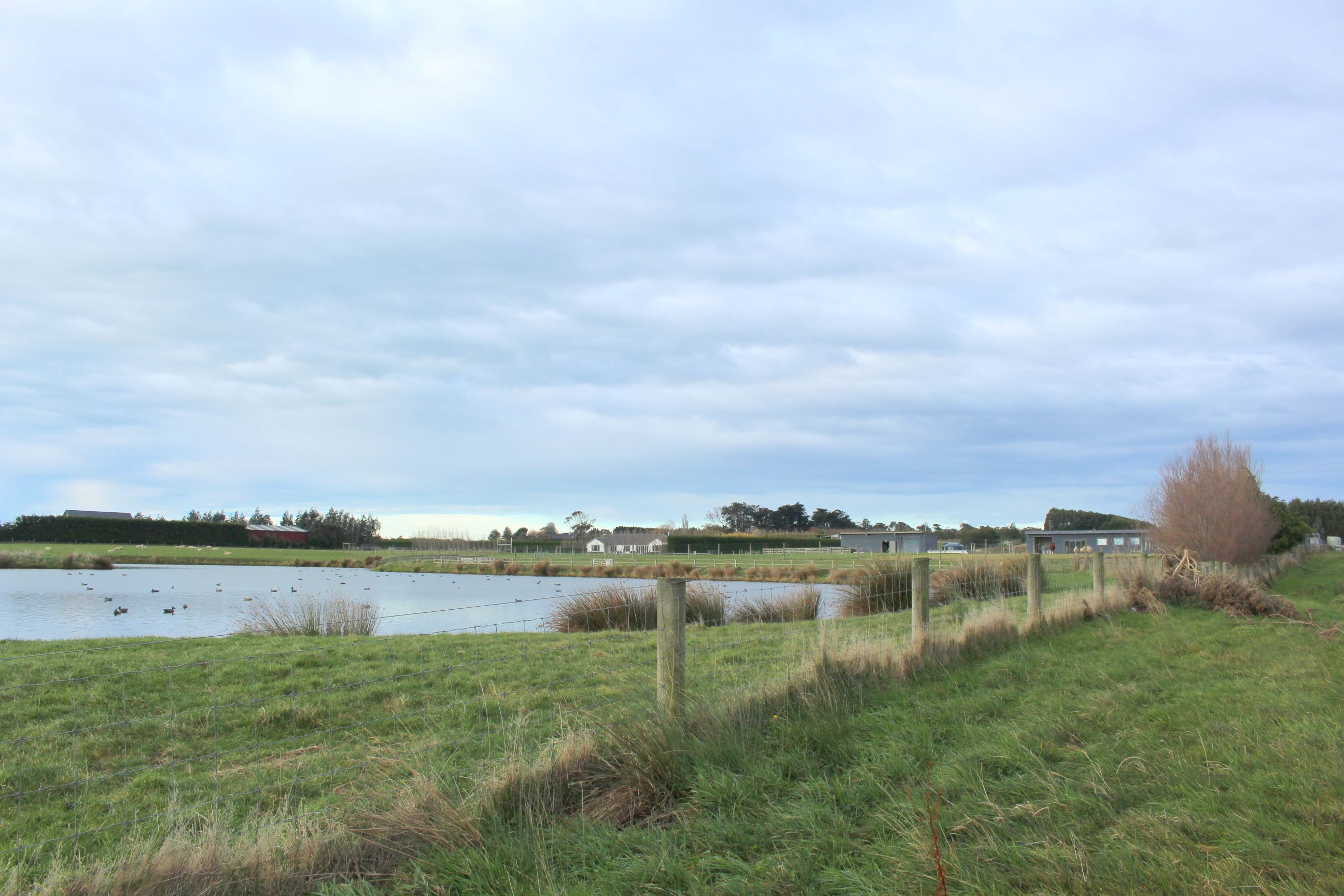 397 McIvor Road, Myross Bush, Invercargill