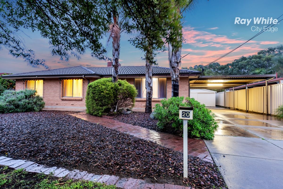 20 Brian Grove, Paradise SA 5075