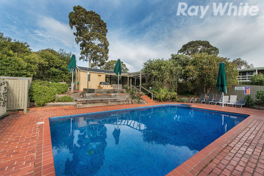 11 Maculata Walk, Vermont South, VIC 3133