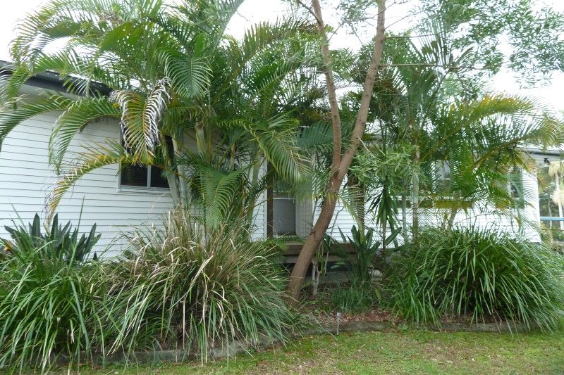 13 Riverview Street, Bli Bli, QLD 4560