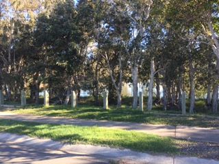 47 barramundi Drive, Burrum Heads, QLD 4659