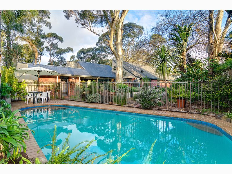 5 Orleana Street, Flagstaff Hill, SA 5159