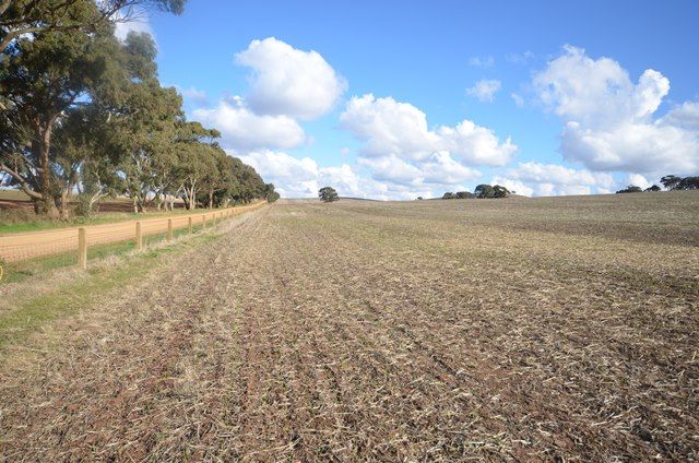 Curio Highway, Marrabel, SA 5413