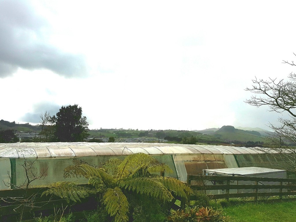 19 Helenslee Road, Pokeno, Franklin