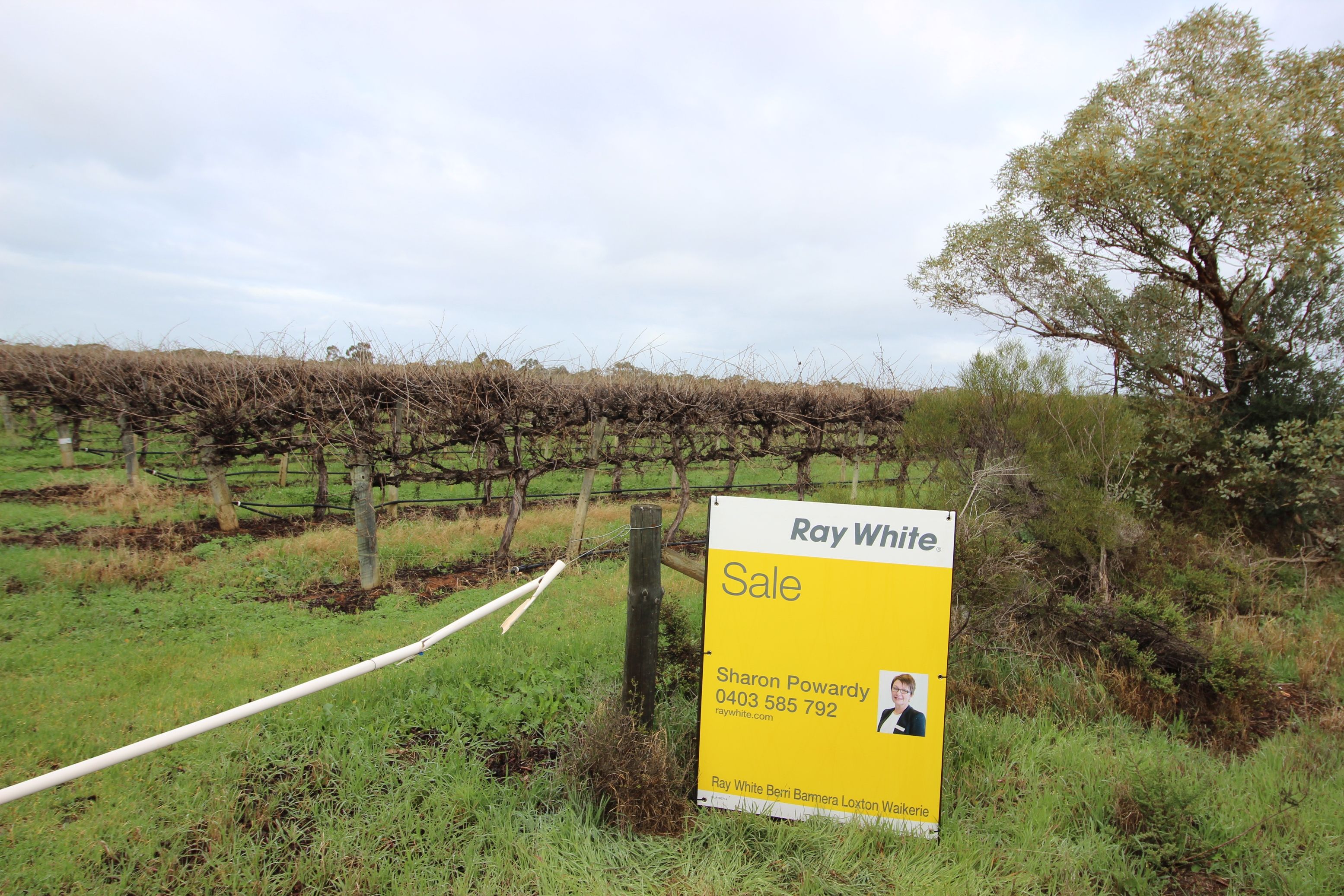 Lot 107 and108 Vasey Road, Waikerie, SA 5330