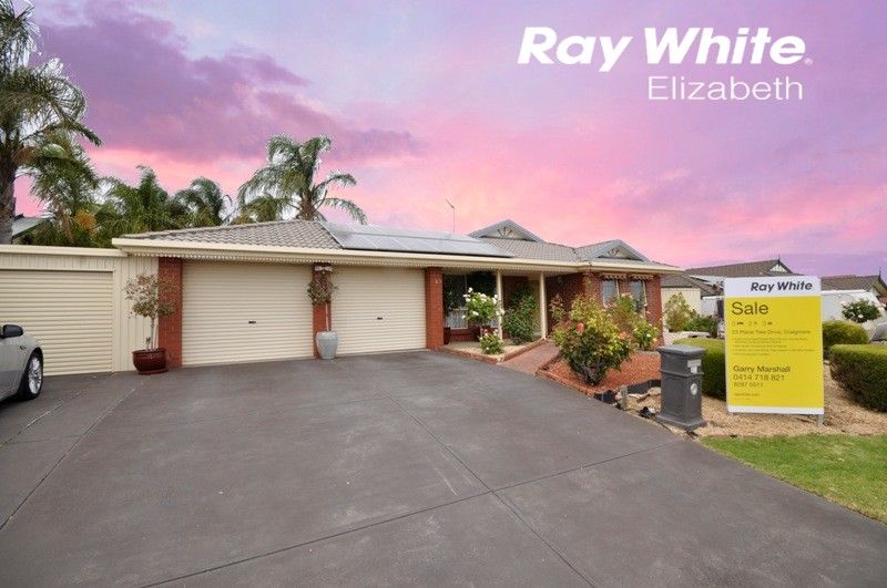 23 Plane Tree Drive, CRAIGMORE SA 5114