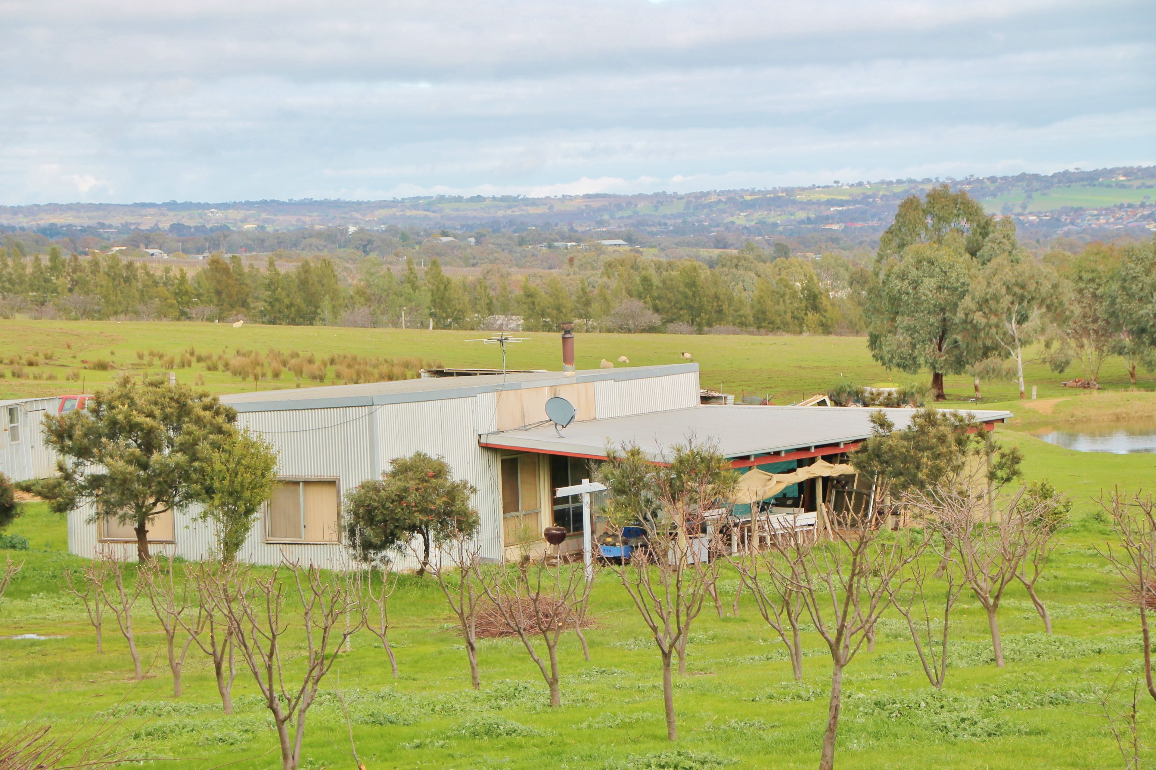 80 Apps Lane, Young, NSW 2594