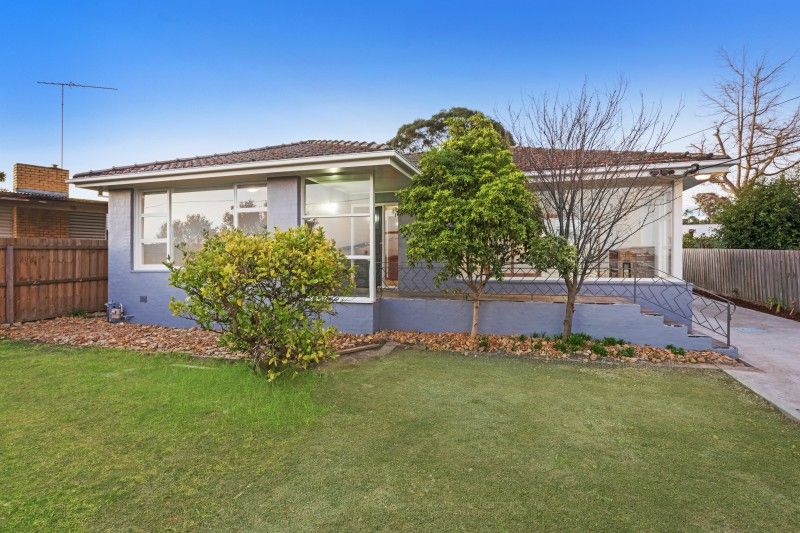 164 West Fyans Street, Newtown VIC 3220