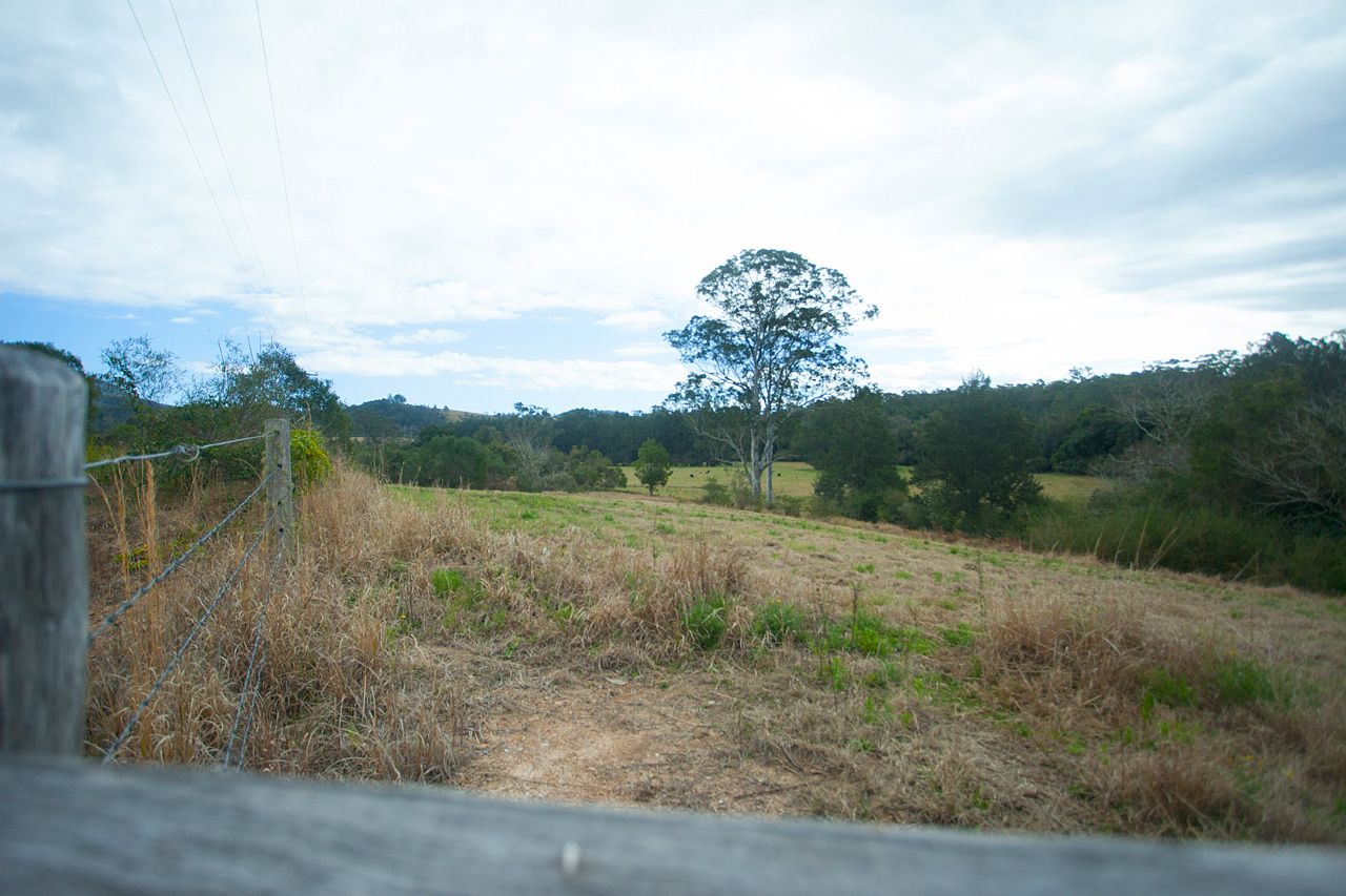 658 Wherrol Flat Road, Wherrol Flat, NSW 2429
