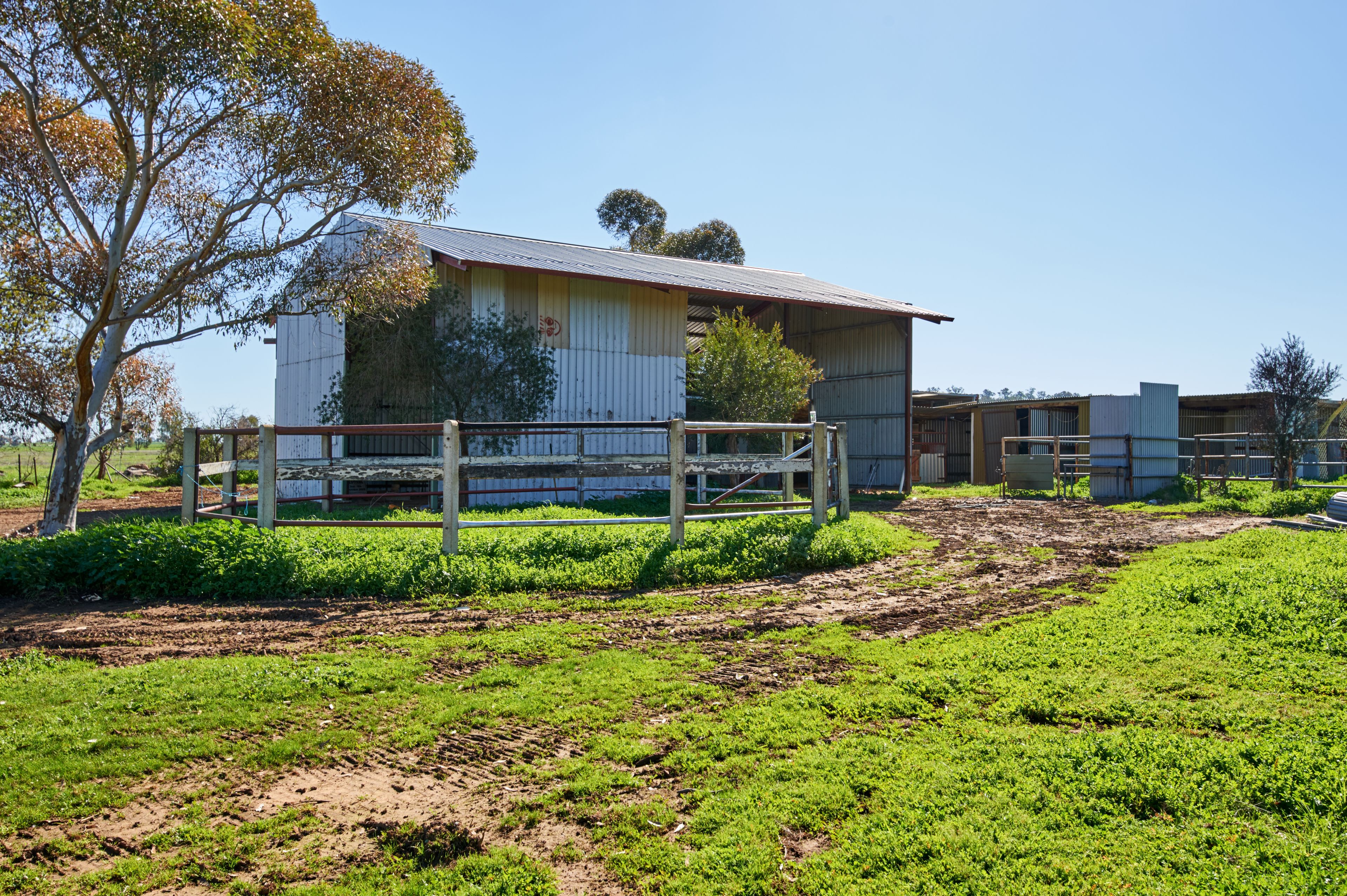 1509 Olympic Highway, Brucedale, NSW 2650
