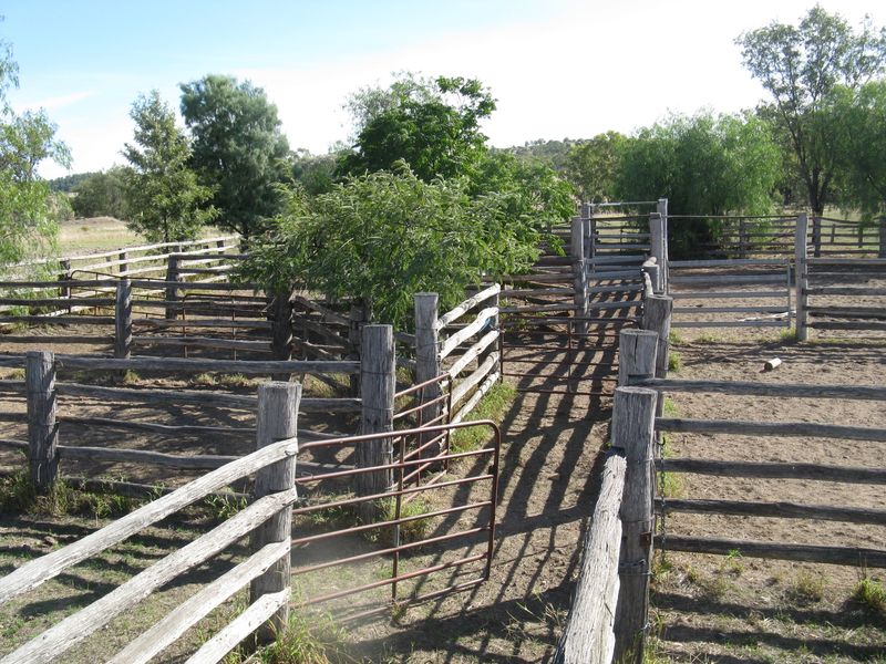 1471 Giligulgul Road, Wandoan, QLD Rural Rural Livestock Property Sold