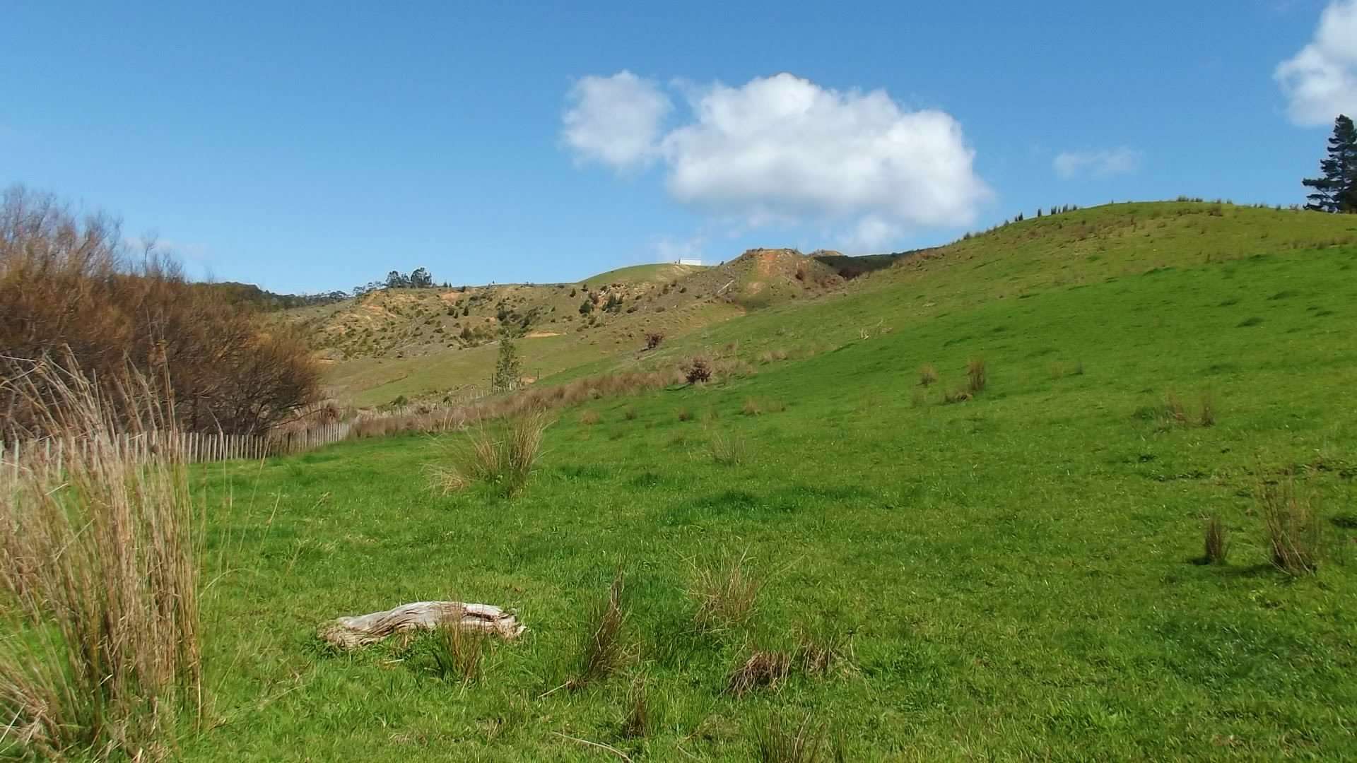 266 Ahuroa Valley Road, Ahuroa, Rodney Real Estate Ray White New Zealand