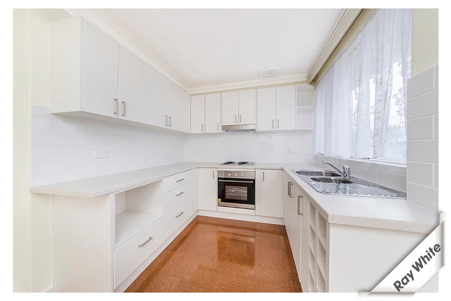 6 Swainsona Street, O'Connor, ACT 2602