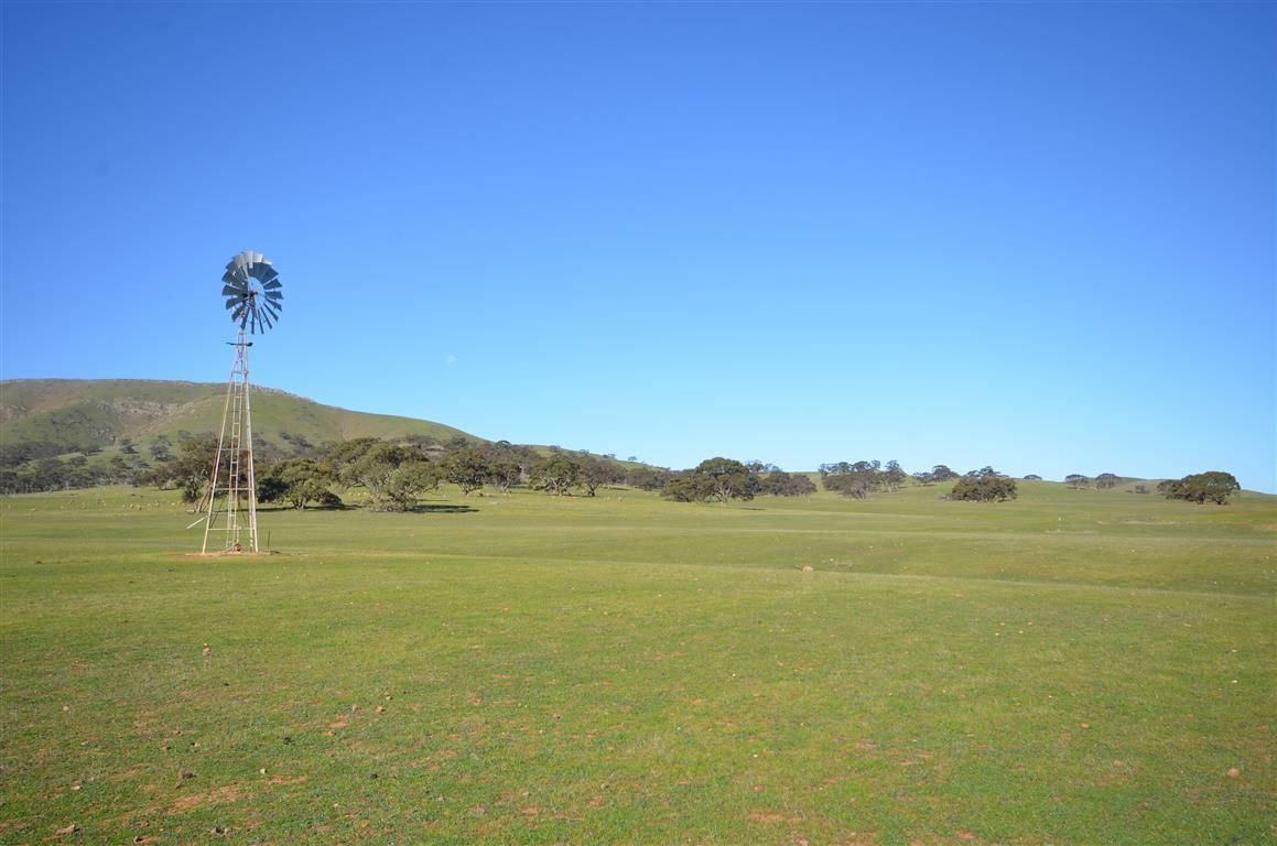 Cattle Station Road, Mount Bryan, SA 5418