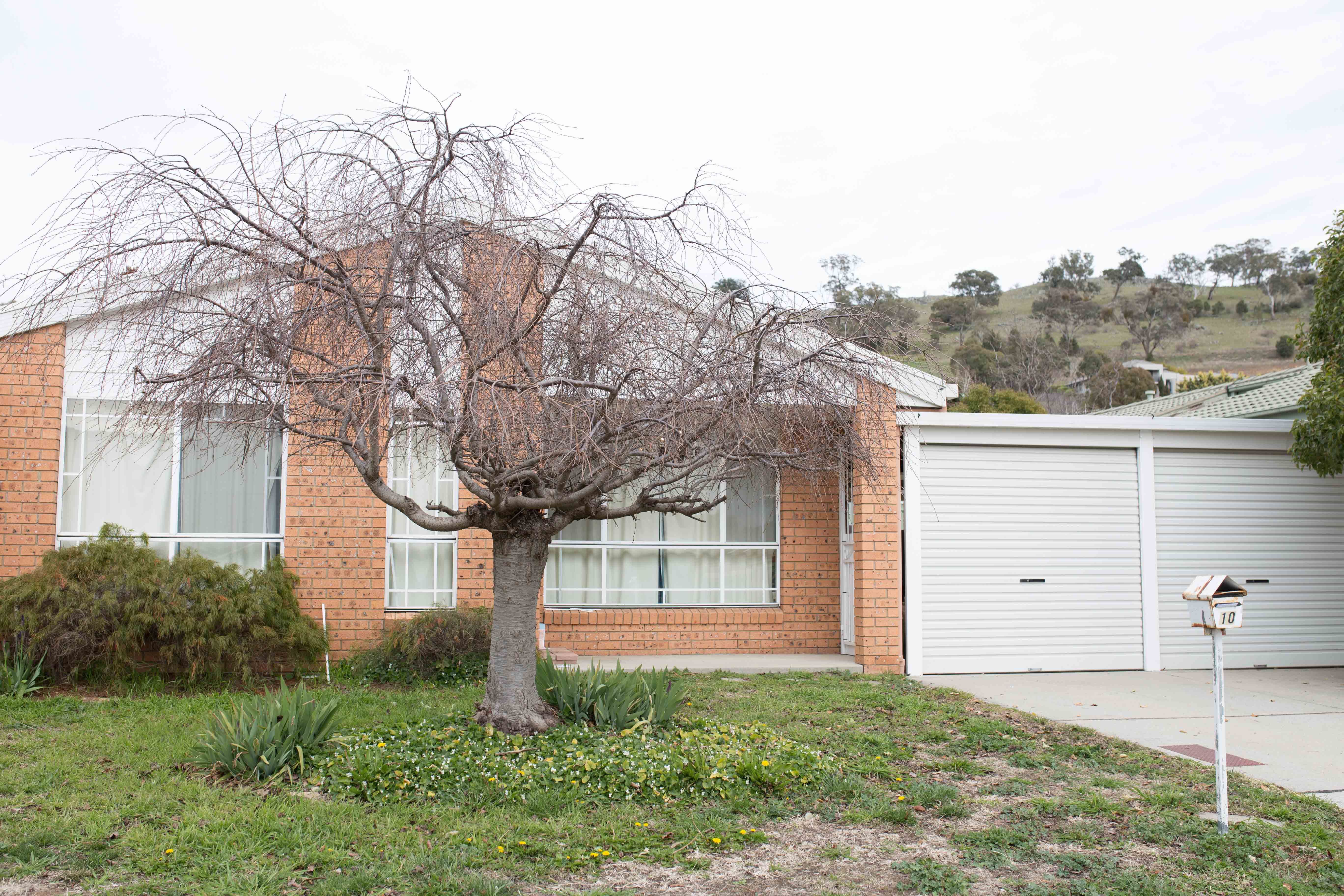 10 Lawlor Place, Gordon ACT 2906