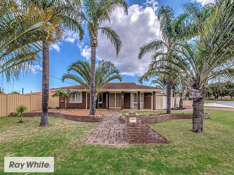 11 Belham Way, Balcatta, WA 6021