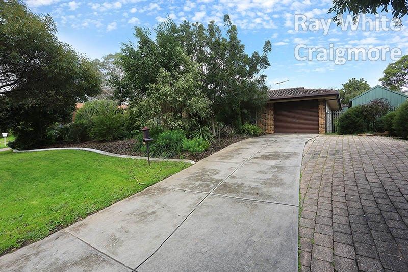 16 Ellen Street, Tea Tree Gully, SA 5091