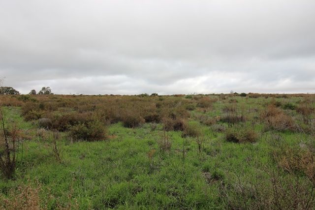 Lot 4 Waikerie Cadell Road, Waikerie, SA 5330