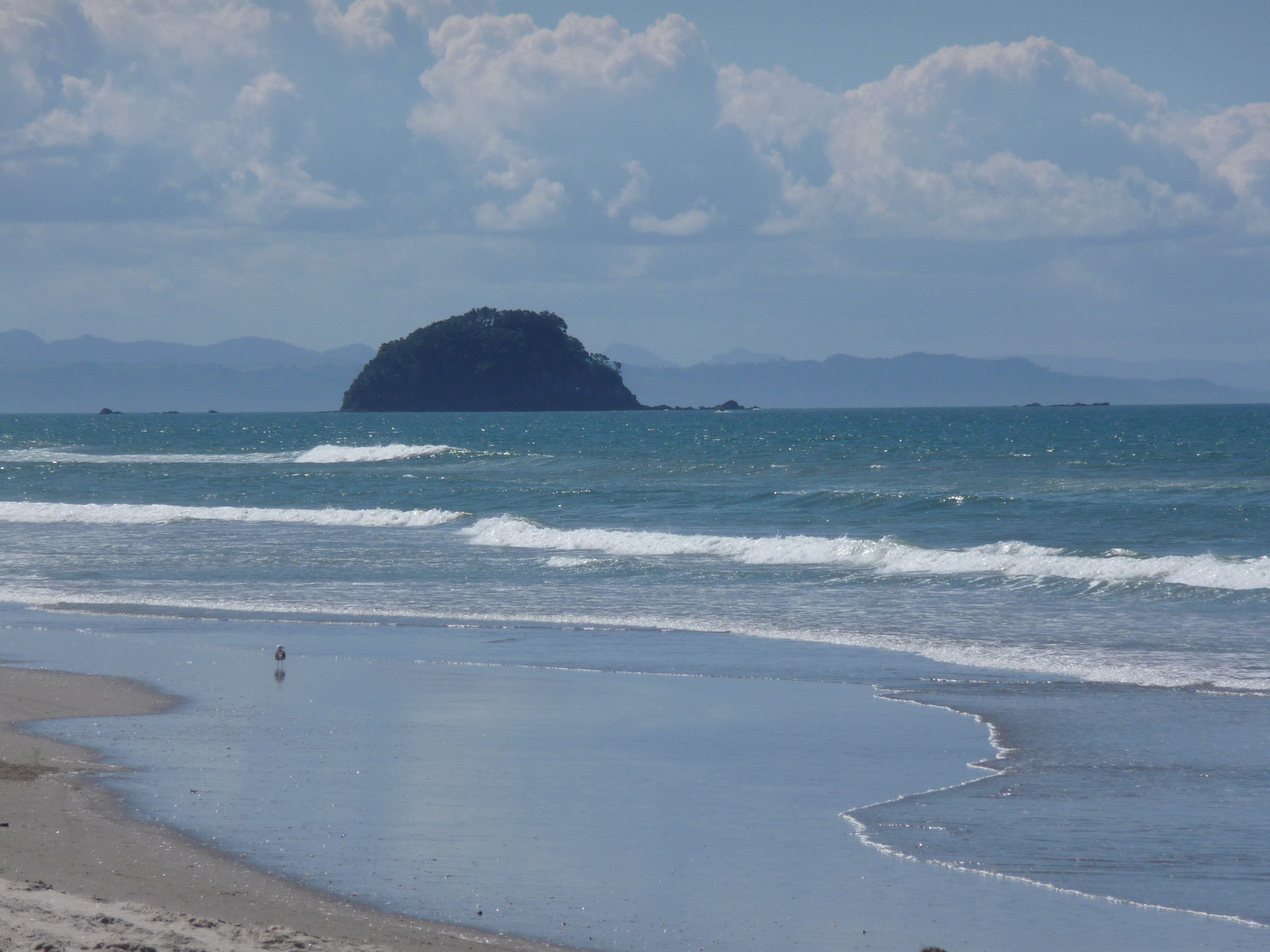 98 Unit 2 Ranch Road, Omanu, Tauranga City