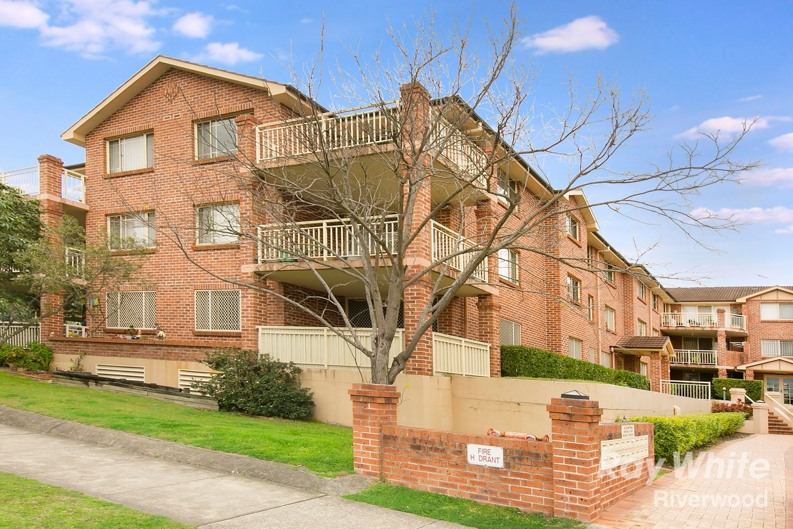 29 Littleton Street, Riverwood NSW 2210