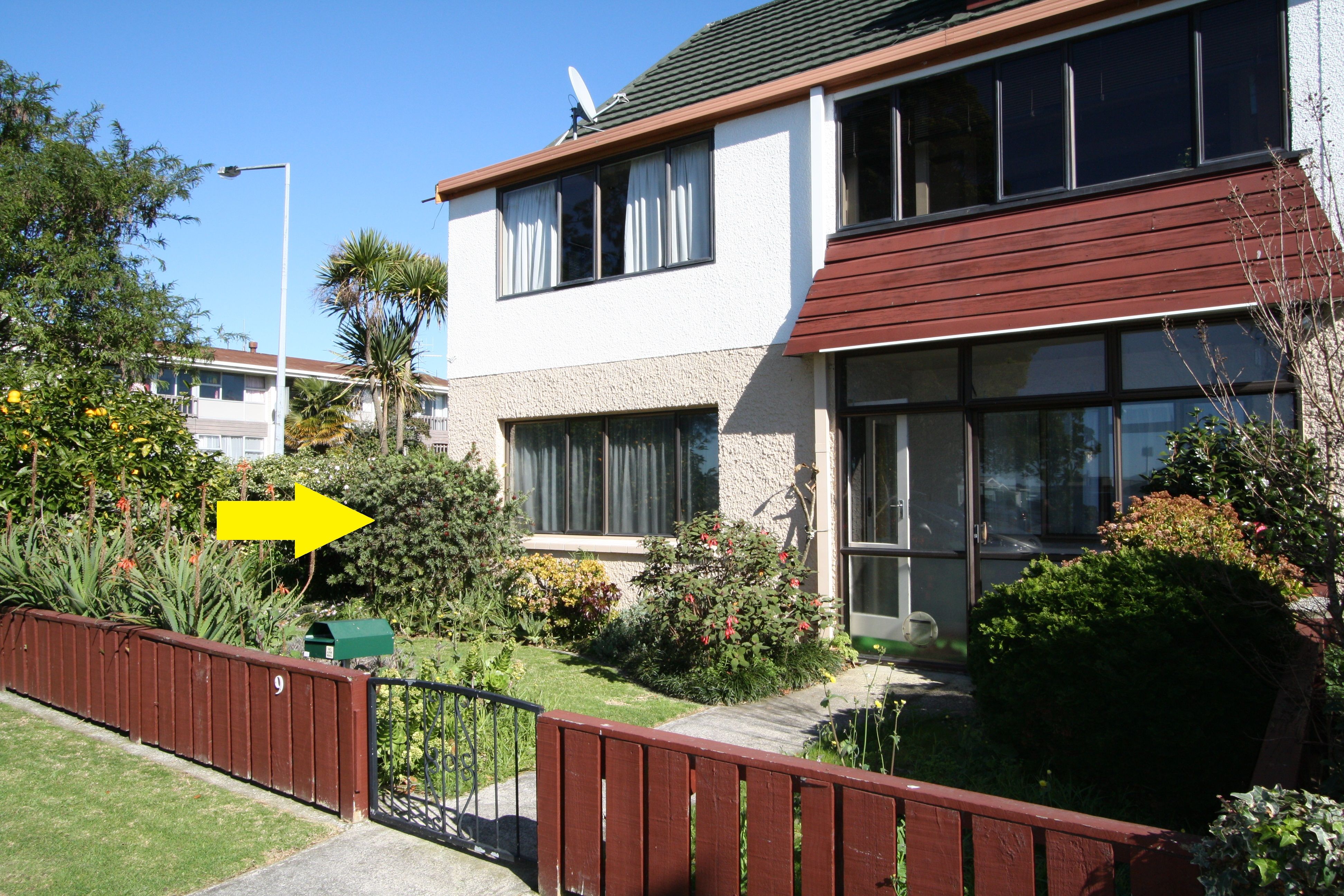 9/18 Cliff Road, Tauranga, Tauranga City