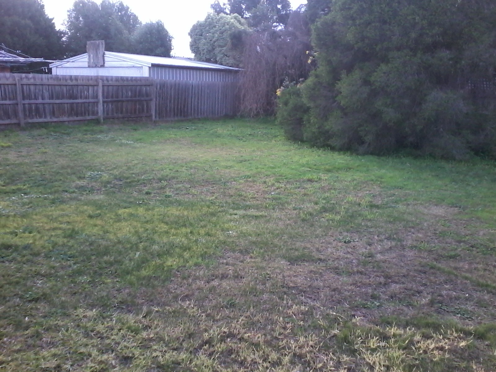 78 Mitford Crescent, Craigieburn, VIC 3064