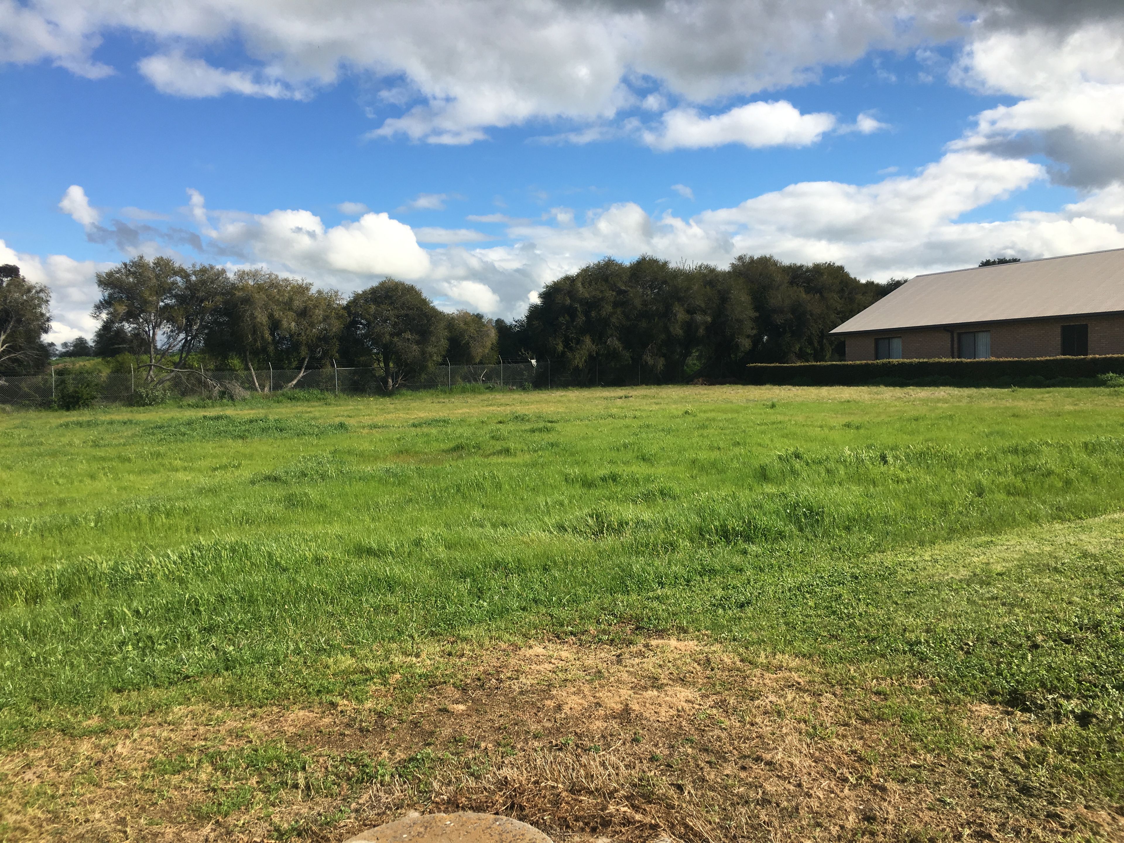 7 Davis Street, Berrigan, NSW 2712