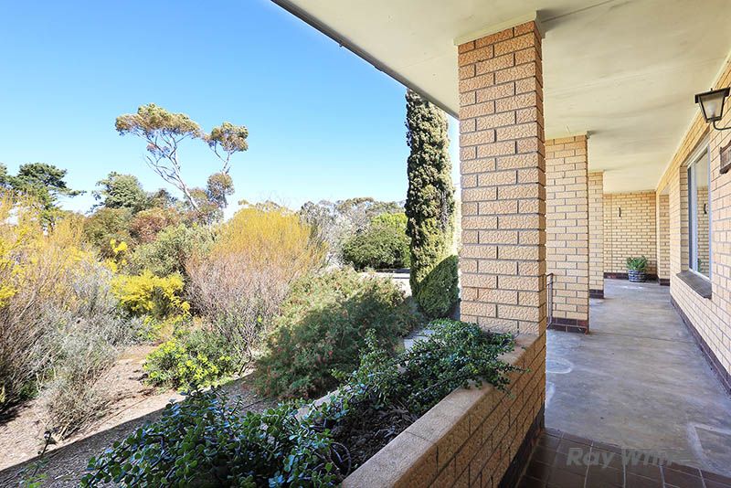 Lot 14 St Vincent Street, Auburn, SA 5451