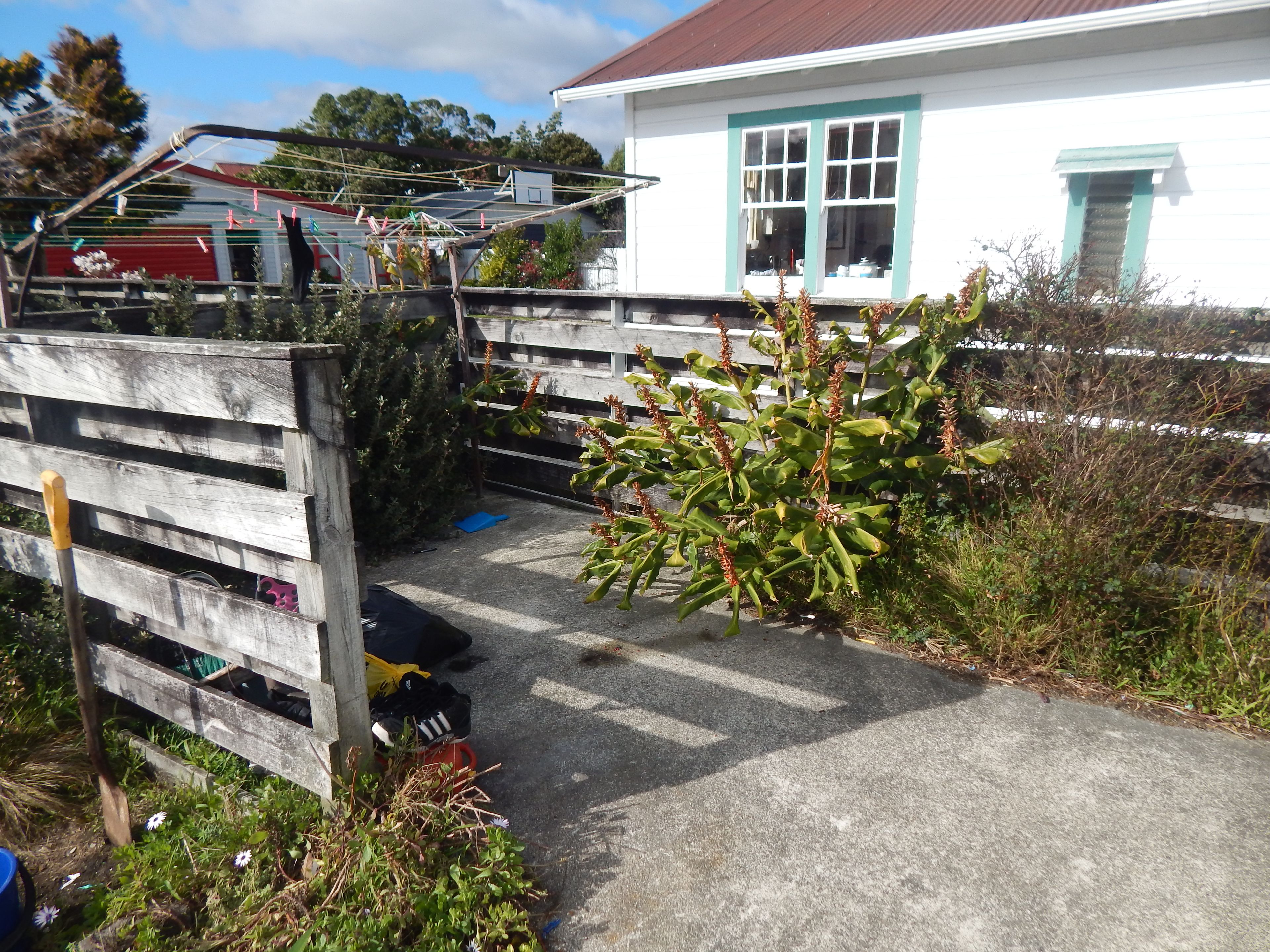 1/58 Cuba Street, Petone, Lower Hutt City