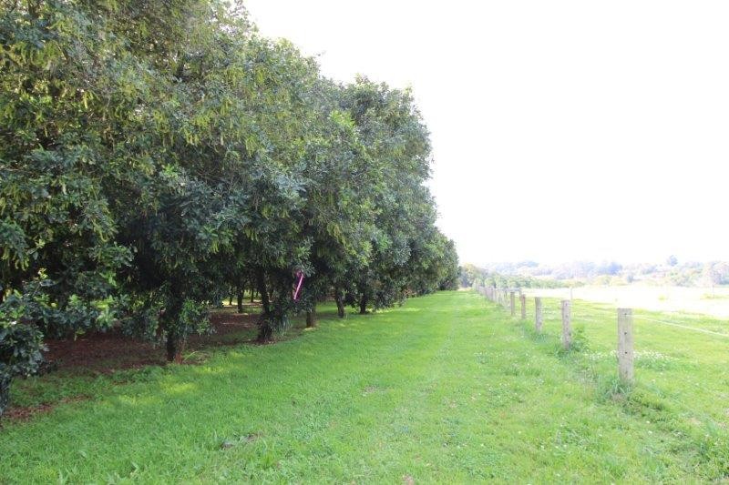 688 Duncan Road, Dunoon, NSW 2480