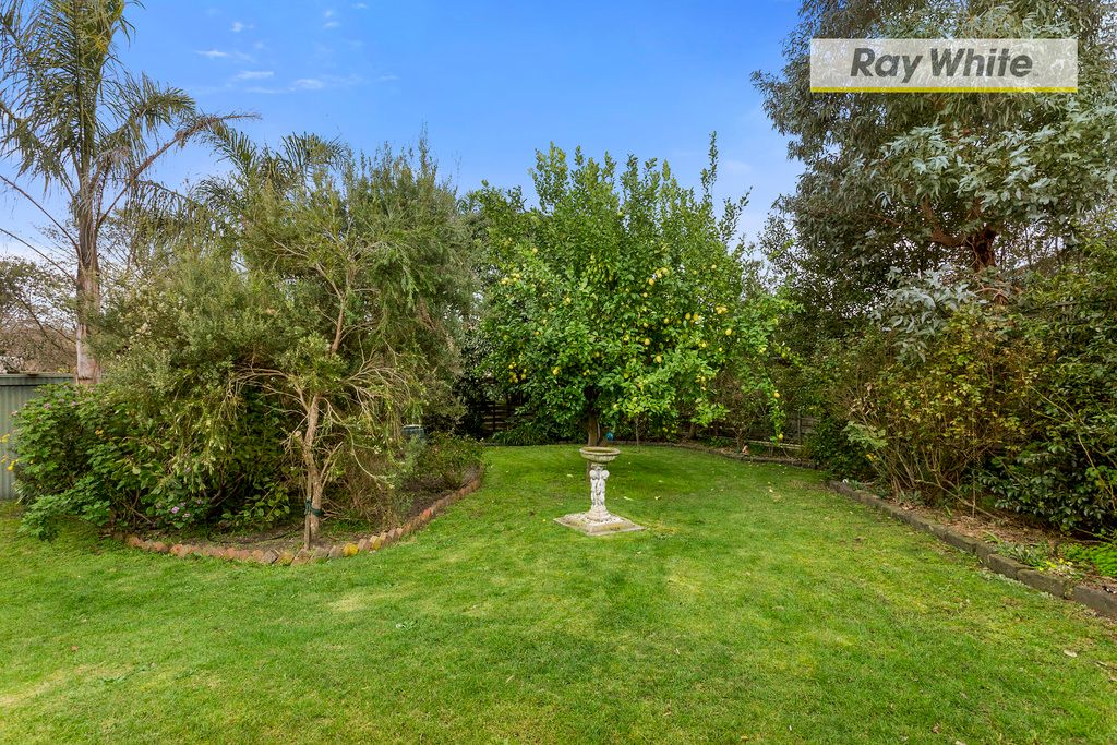12 Salvia Court, Rosebud, VIC 3939