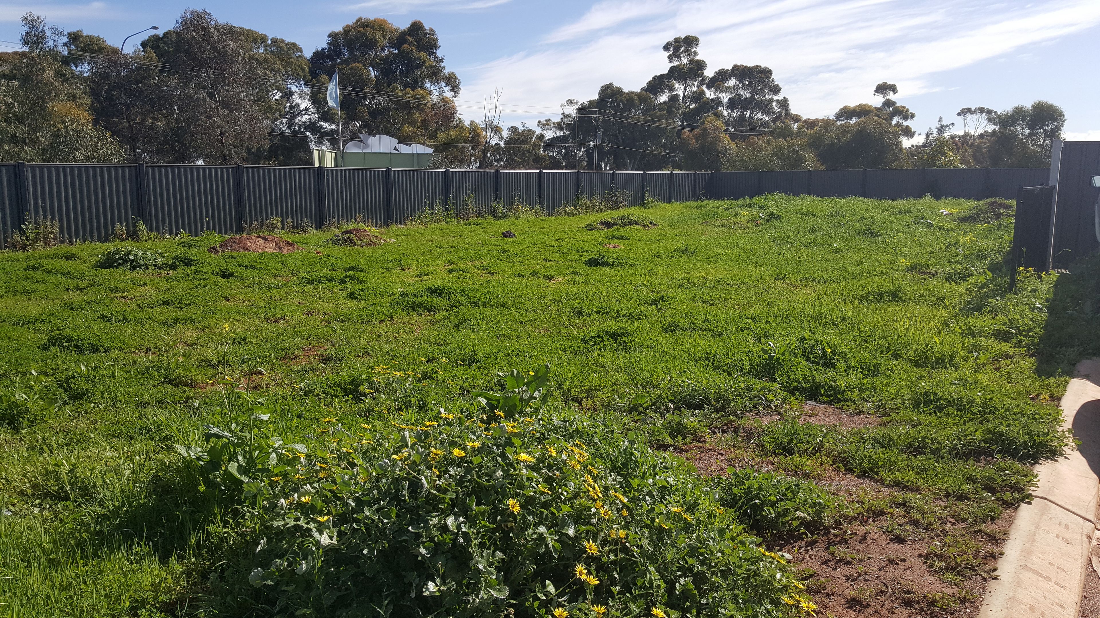 16 Margaret Street, Blakeview, SA 5114
