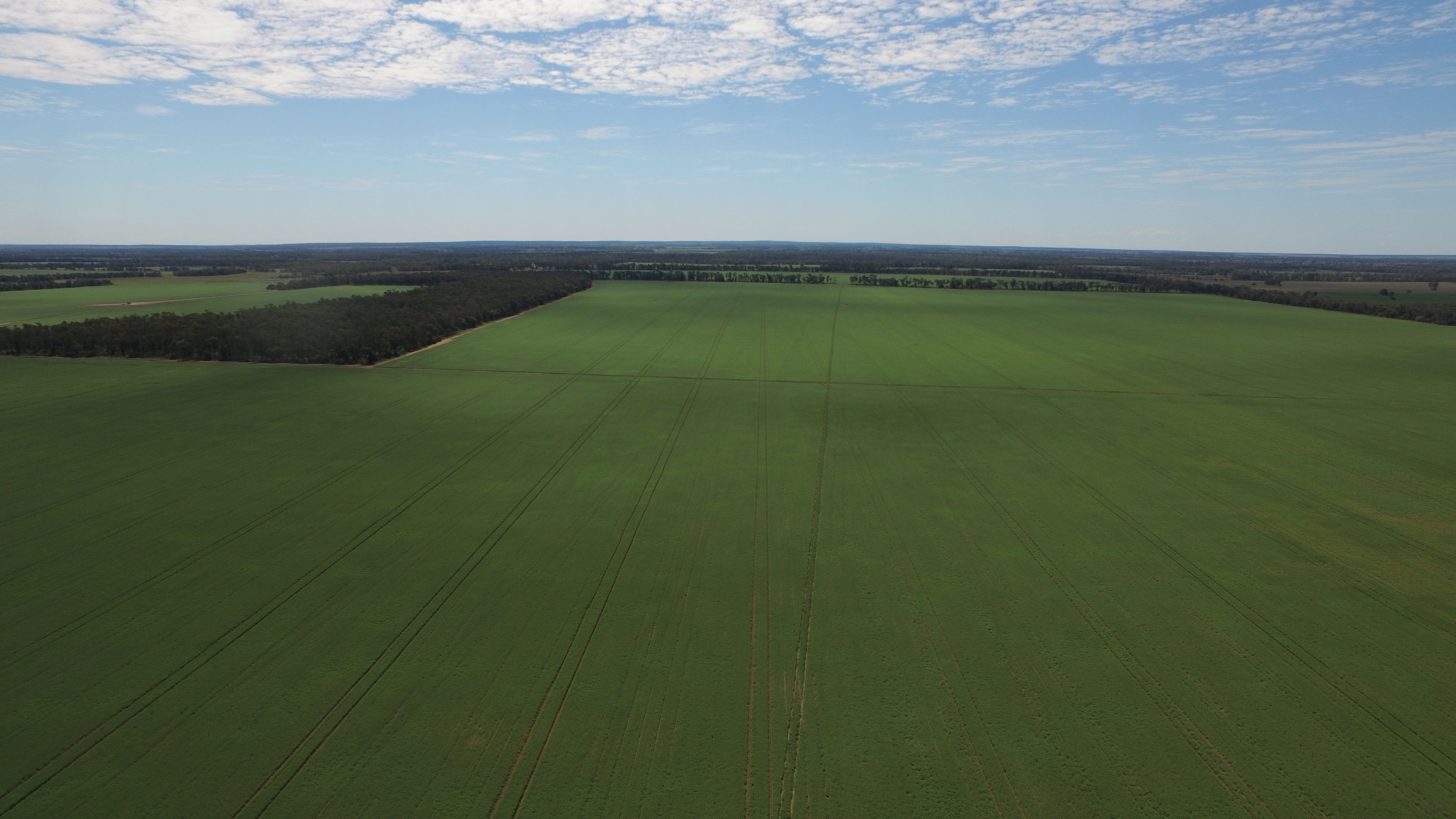 9698 Roma-Condamine Road, Condamine, QLD 4416