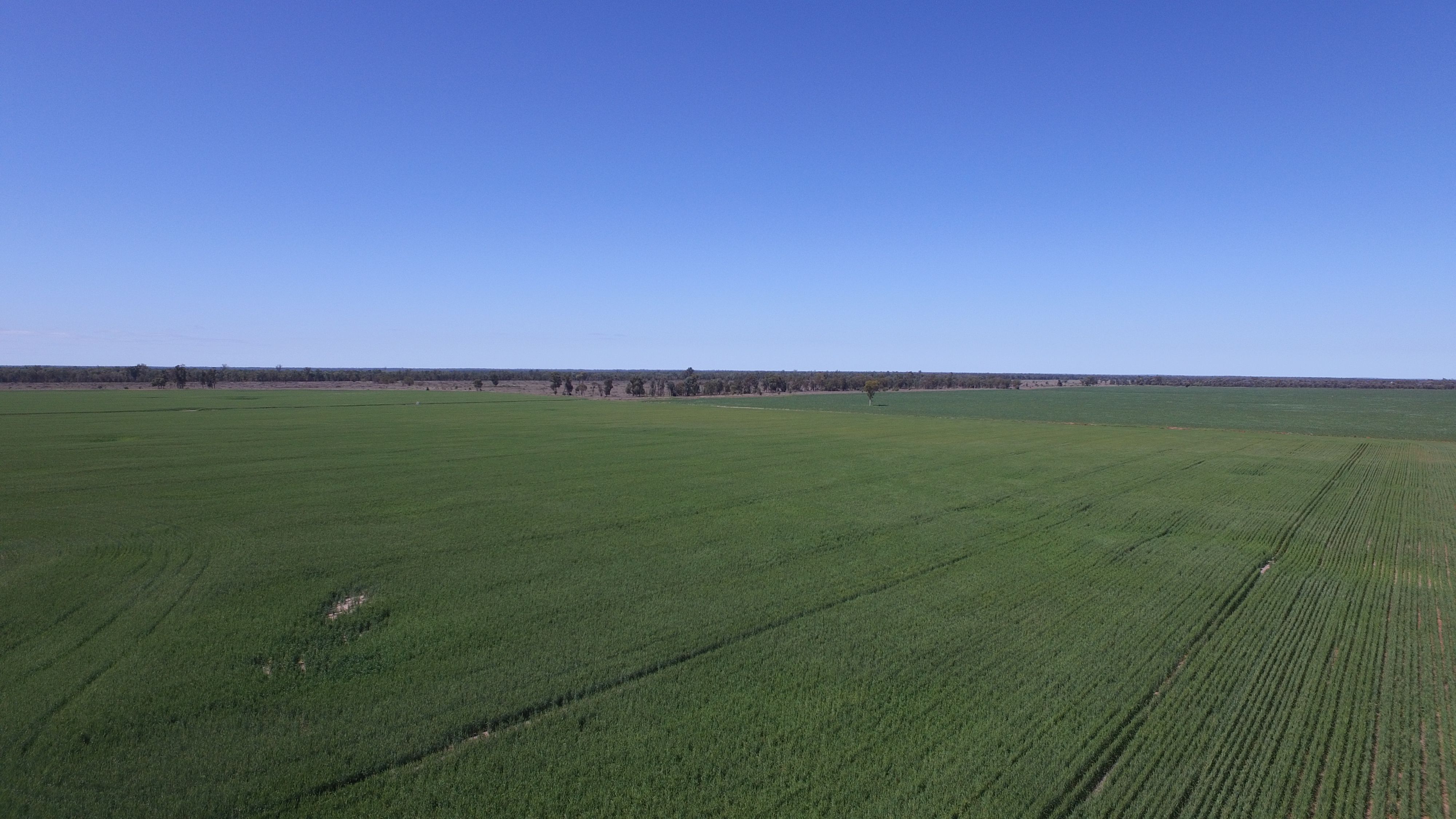 4089 Roma-Condamine Road, Condamine, QLD 4416