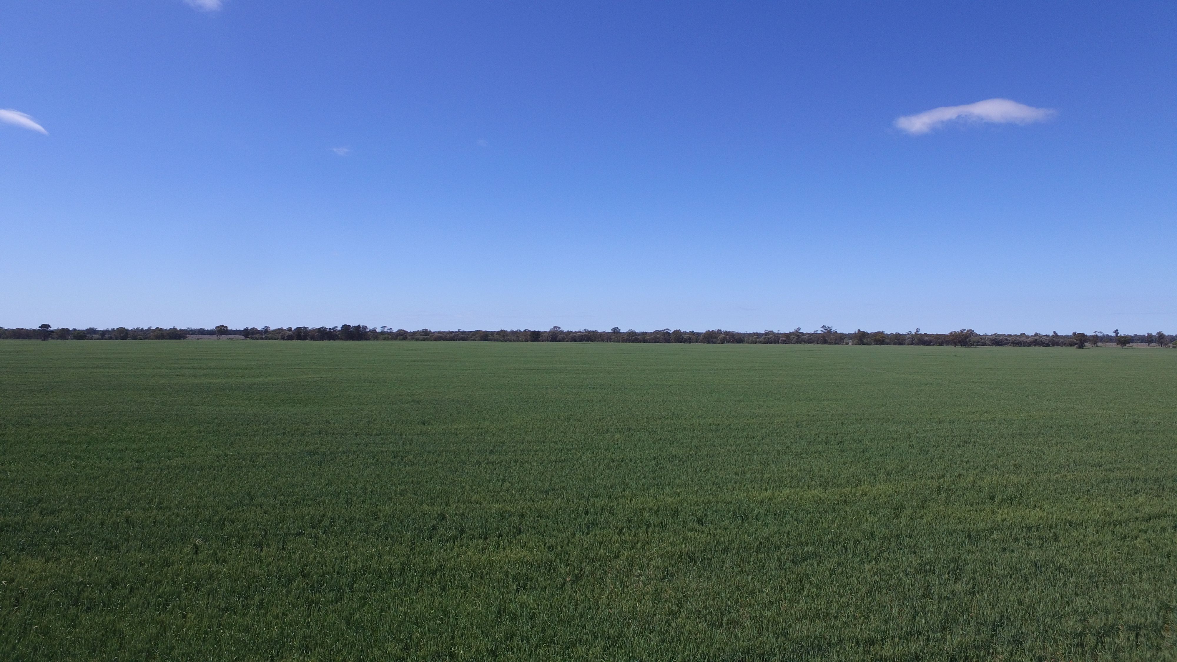 Rural Livestock Property 4089 Roma-Condamine Road 