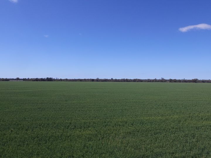 Rural Livestock Property 4089 Roma-Condamine Road