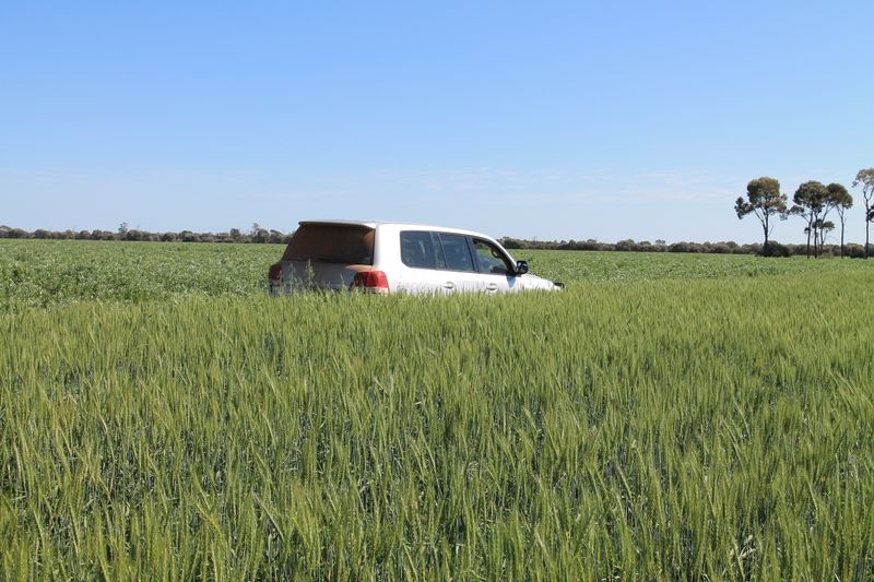 Rural Livestock Property 4089 Roma-Condamine Road 