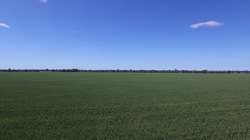 Rural Livestock Property 4089 Roma-Condamine Road 