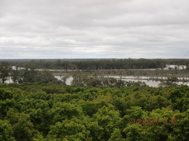 62 Pike Creek Road, Lyrup, SA 5343