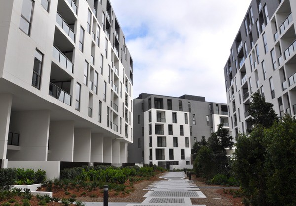 407/17 Grattan Close, Glebe, NSW 2037