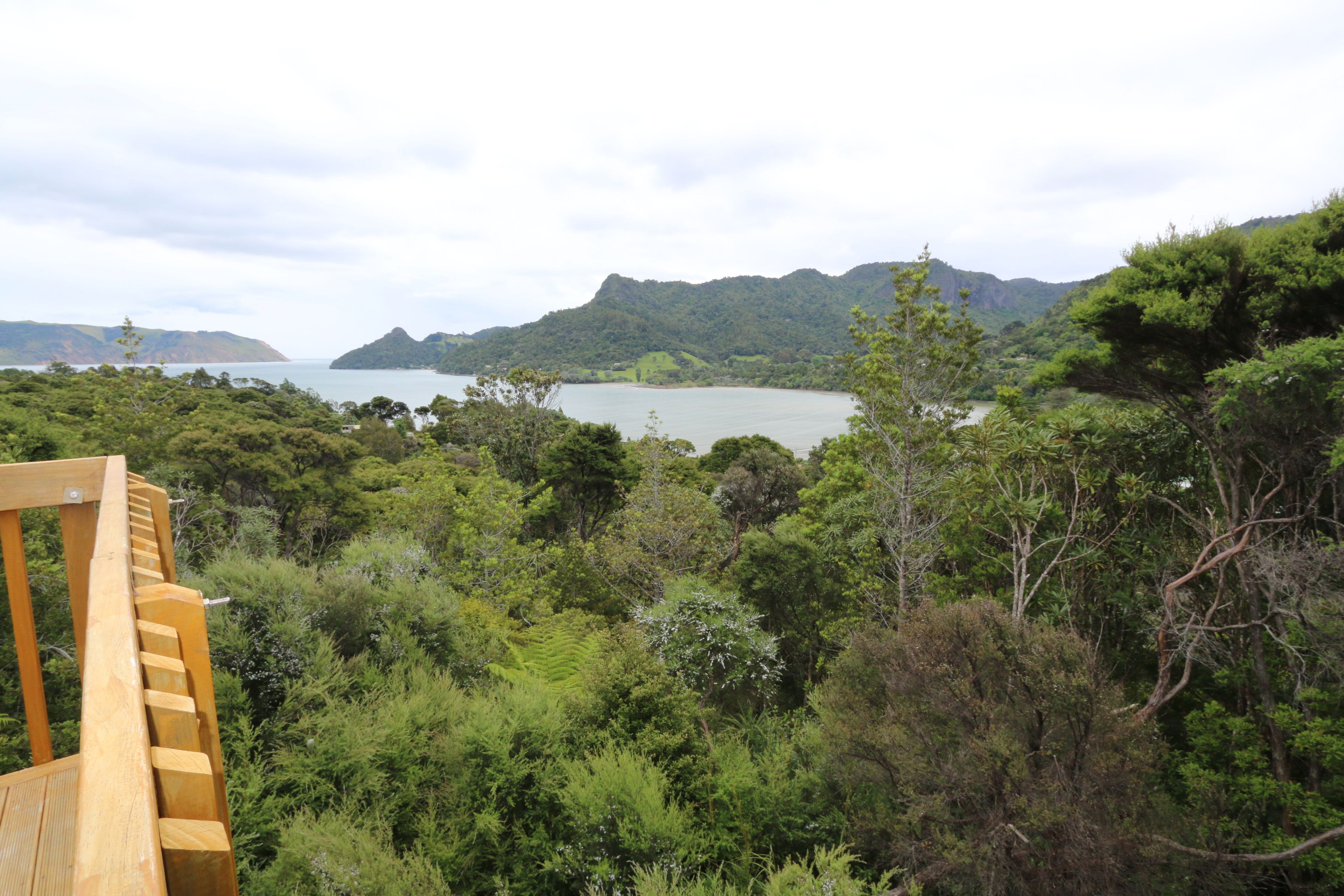 16 Kilgour Terrace, Huia, Waitakere City