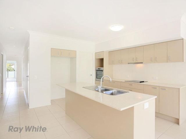 7 Evans Street, Kedron, QLD 4031