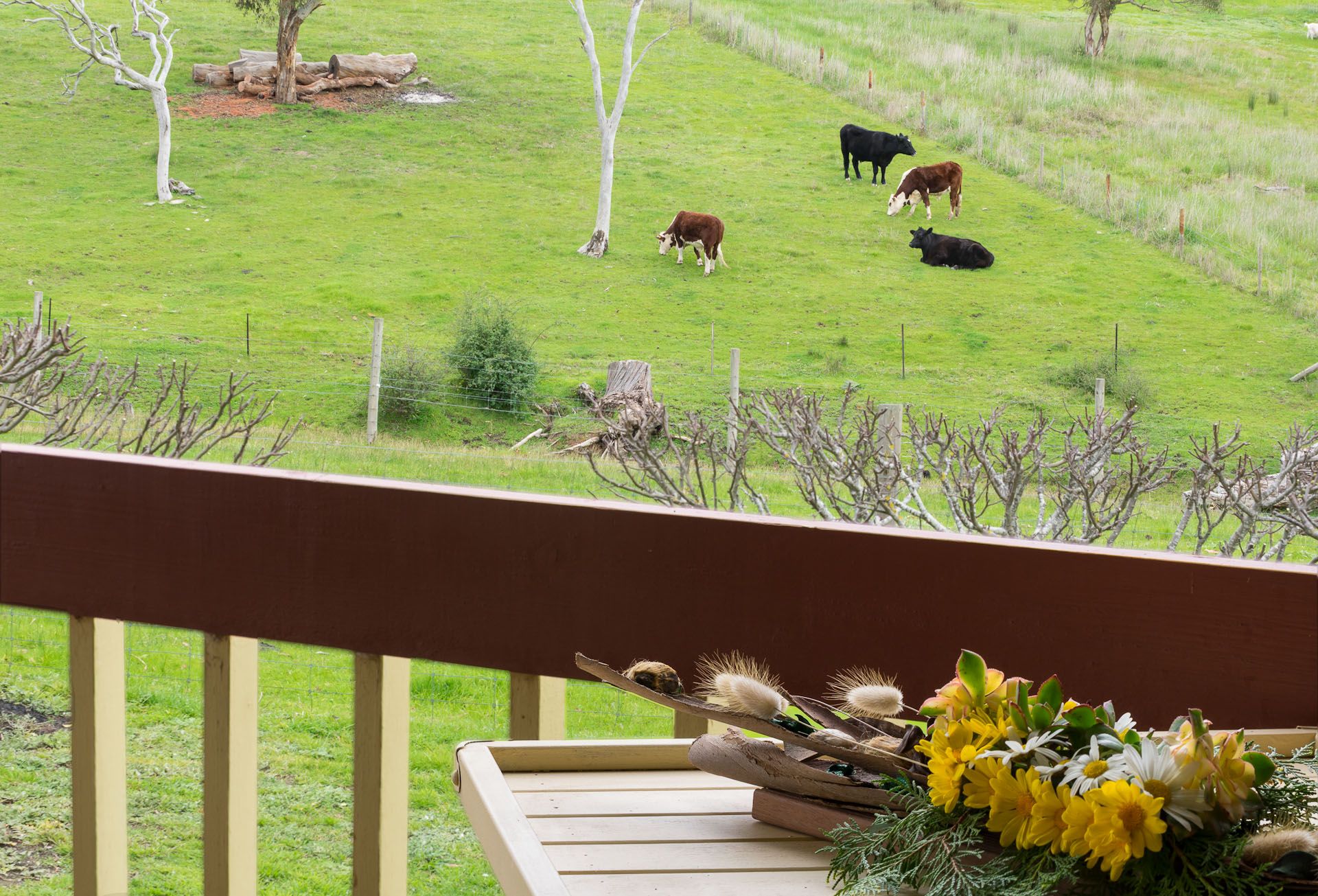 25 Colbert Road, Kangarilla, SA 5157