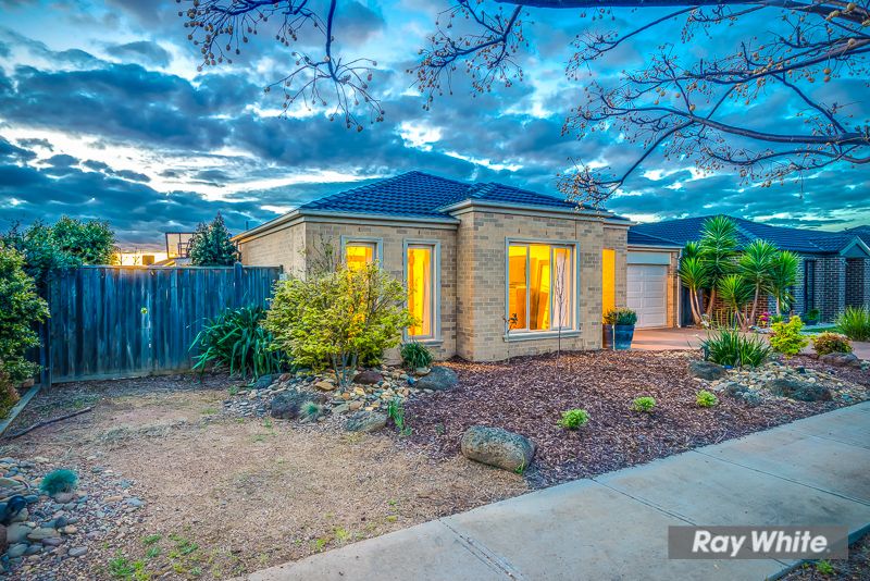 3 Wing Circuit, Tarneit, VIC 3029