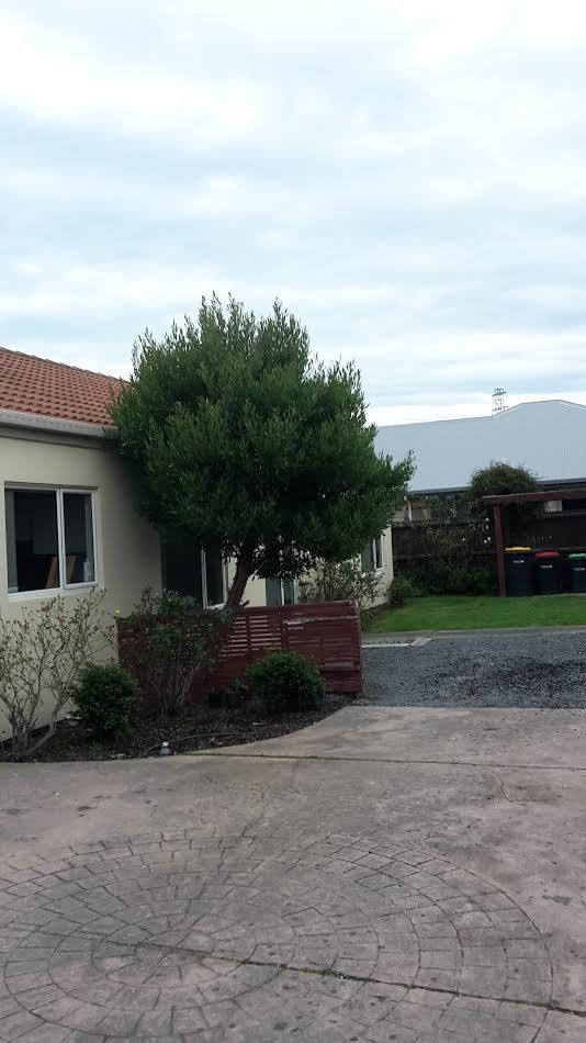 97a Ti Rakau Drive, Brookhaven, Canterbury