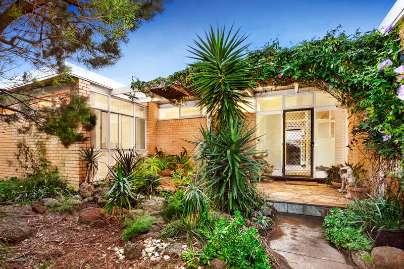 39 Paloma Street, Bentleigh East, VIC 3165