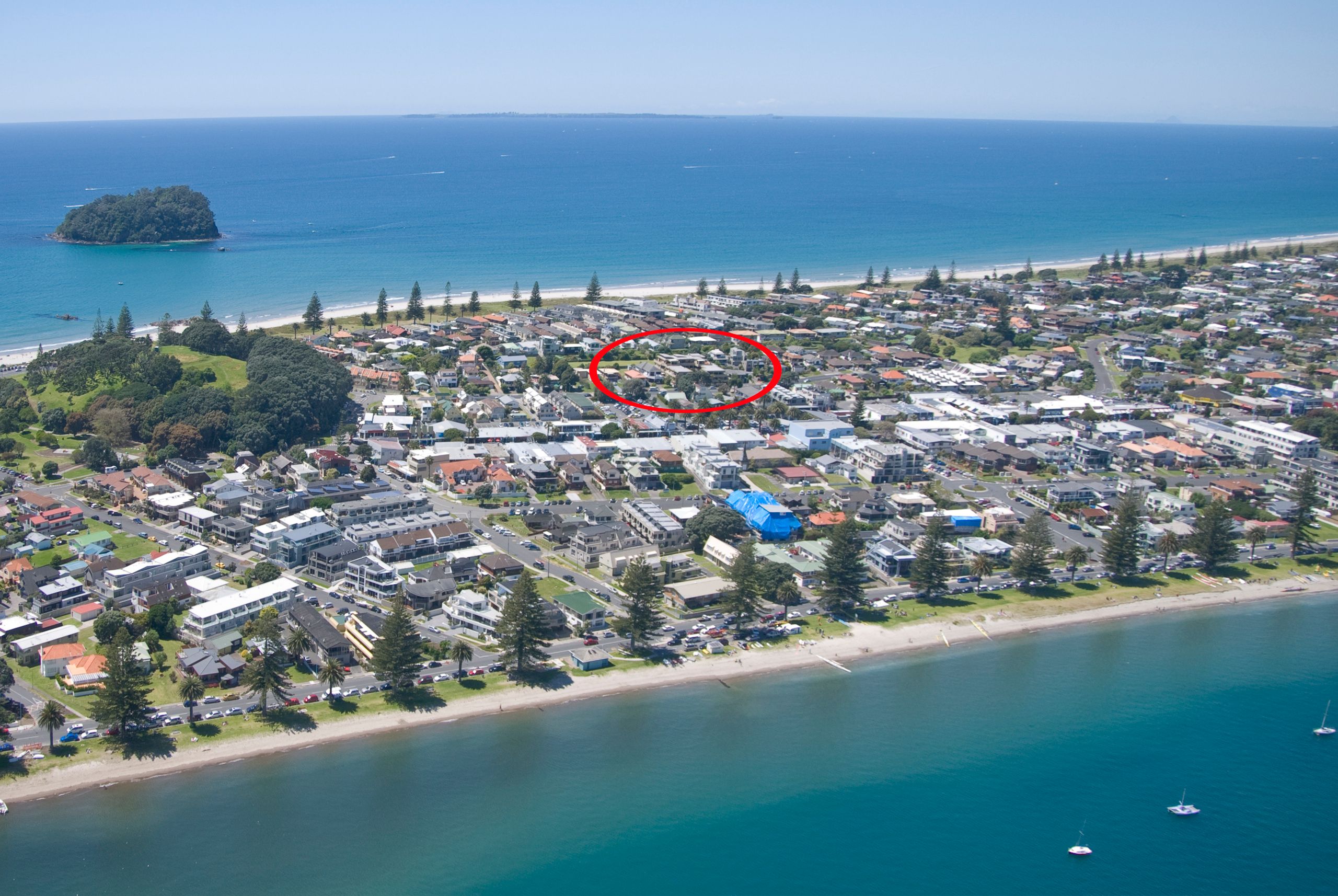 12/29 May Street, Mt Maunganui, Tauranga City